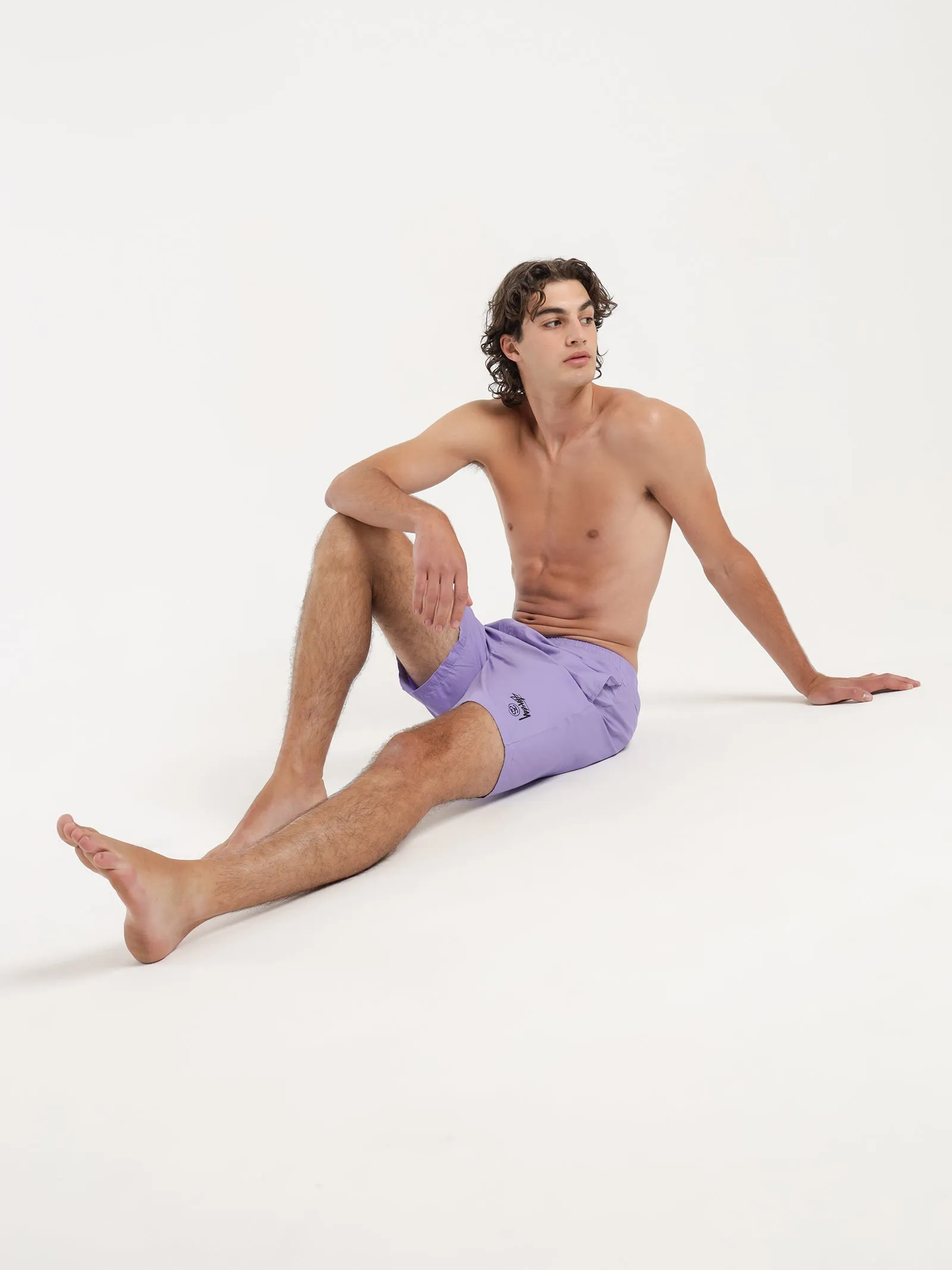 Basic Stock Beach Shorts in Violet
