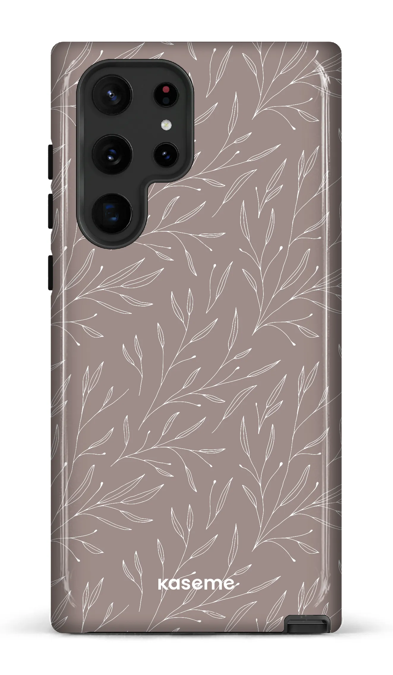 Hibiscus Grey