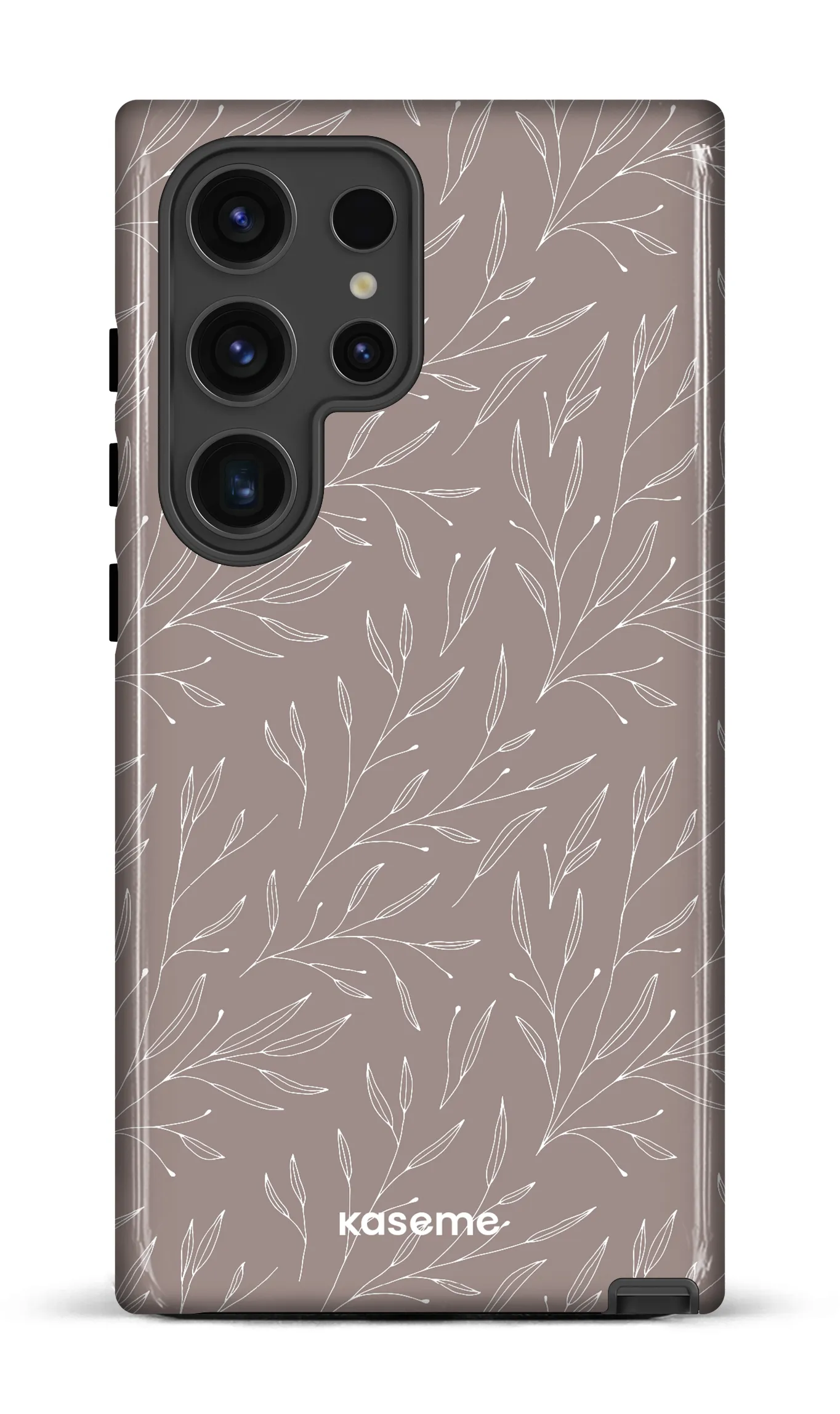 Hibiscus Grey