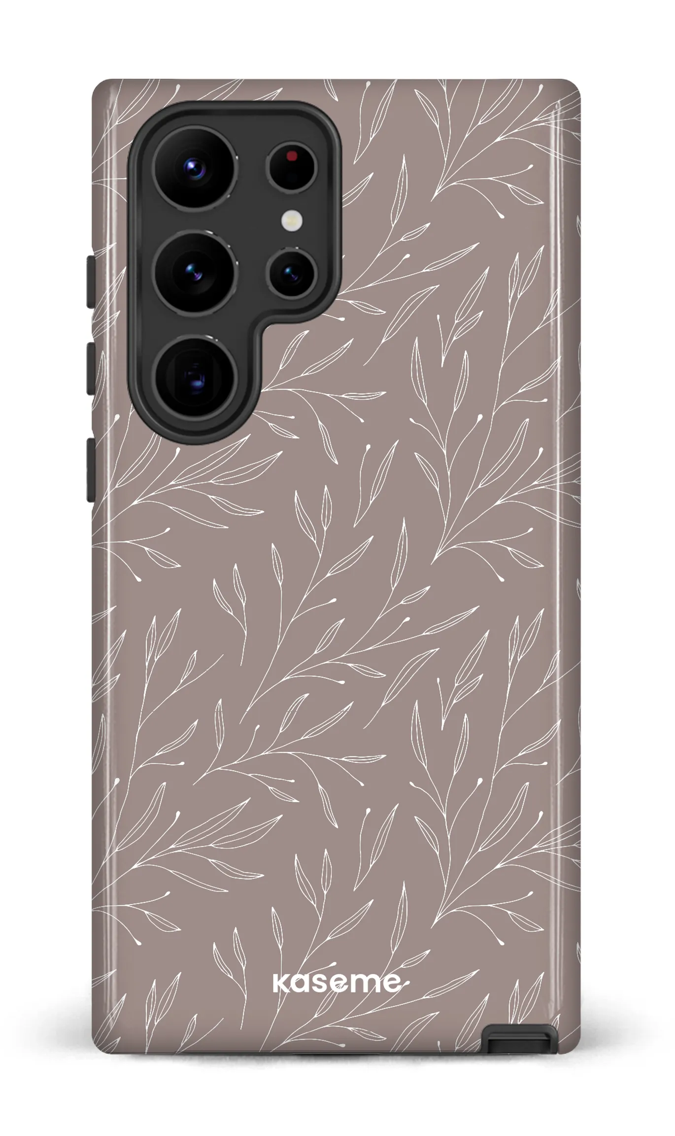 Hibiscus Grey