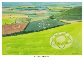 Vital Signs